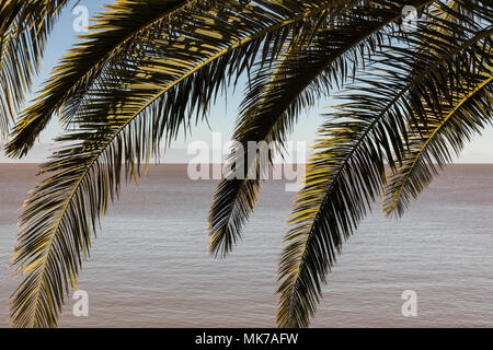 Dal Molo Marina - Colonia del Sacramento, Uruguay Foto Stock