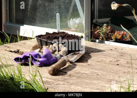 Un giorno nel giardino piantagione fuori i semi con un vecchio paio di guanti da giardinaggio e una cazzuola di argento con un manico in legno Foto Stock