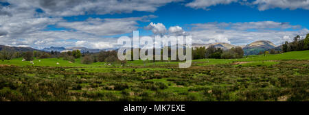 Fairfield Horseshoe, Wansfell Pike e Windermere, visto da vicino ad alta Wray, vicino a Ambleside, Lake District, Cumbria Foto Stock