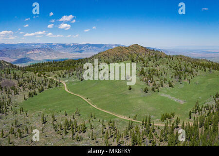 Strada sterrata singolo conduce attraverso il verde di Wyoming deserto vicino al Parco Nazionale di Yellowstone. Foto Stock