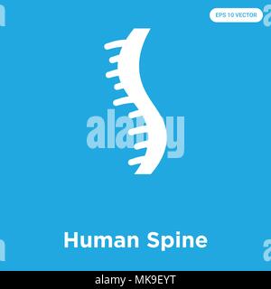 Colonna vertebrale umana icona vettore isolato su sfondo blu, simbolo e segno Illustrazione Vettoriale