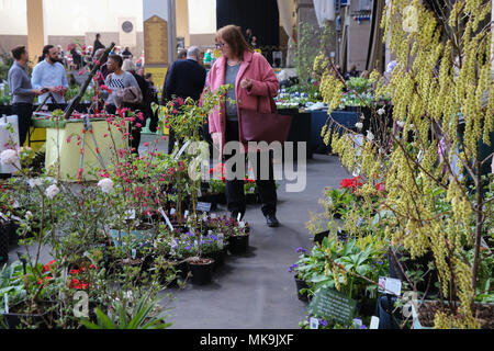 Le persone che frequentano il Royal Horticultural Society (RHS) London Orchid mostra e Fiera di piante di Westminster che mette in mostra alcuni dei migliori impianti a molla visualizza, un abbondanza di orchids esotici e la possibilità di visualizzare in anteprima esclusiva di RHS Chelsea Flower Show 2018. Dotato di: atmosfera, vista in cui: Londra, Regno Unito quando: 06 Apr 2018 Credit: Dinendra Haria/WENN Foto Stock