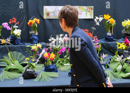 Le persone che frequentano il Royal Horticultural Society (RHS) London Orchid mostra e Fiera di piante di Westminster che mette in mostra alcuni dei migliori impianti a molla visualizza, un abbondanza di orchids esotici e la possibilità di visualizzare in anteprima esclusiva di RHS Chelsea Flower Show 2018. Dotato di: atmosfera, vista in cui: Londra, Regno Unito quando: 06 Apr 2018 Credit: Dinendra Haria/WENN Foto Stock