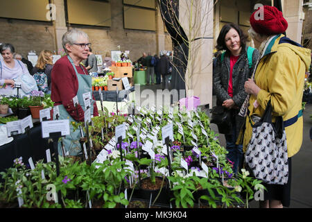 Le persone che frequentano il Royal Horticultural Society (RHS) London Orchid mostra e Fiera di piante di Westminster che mette in mostra alcuni dei migliori impianti a molla visualizza, un abbondanza di orchids esotici e la possibilità di visualizzare in anteprima esclusiva di RHS Chelsea Flower Show 2018. Dotato di: atmosfera, vista in cui: Londra, Regno Unito quando: 06 Apr 2018 Credit: Dinendra Haria/WENN Foto Stock