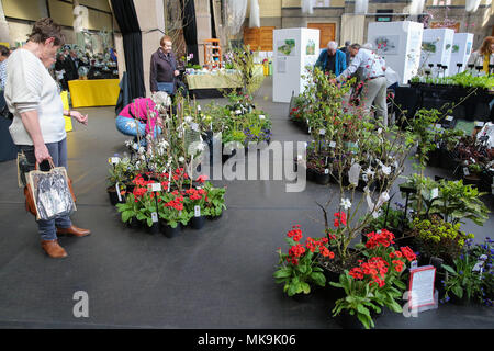 Le persone che frequentano il Royal Horticultural Society (RHS) London Orchid mostra e Fiera di piante di Westminster che mette in mostra alcuni dei migliori impianti a molla visualizza, un abbondanza di orchids esotici e la possibilità di visualizzare in anteprima esclusiva di RHS Chelsea Flower Show 2018. Dotato di: atmosfera, vista in cui: Londra, Regno Unito quando: 06 Apr 2018 Credit: Dinendra Haria/WENN Foto Stock