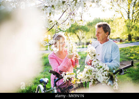Bella coppia senior con le biciclette al di fuori in primavera la natura. Foto Stock