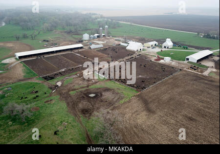 (180508) -- ATLANTIC, 8 maggio 2018 (Xinhua) -- Foto scattata il 2 maggio 2018 Mostra Farmer Bill Pellett's farm in Atlantico di Iowa, gli Stati Uniti. Bill Pellett sta ora alimentando intorno a 900 capi di bovini nella sua azienda durante la crescita di centinaia di ettari di mais e soia nel midwestern membro. Un viaggio in Cina nel mese di febbraio ha potenziato la sua fiducia nella vendita di più della sua azienda di bistecca di manzo alla clientela cinese. Durante il suo soggiorno di una settimana in Cina, Pellett si è incontrato con i rappresentanti da sette a dieci diverse aziende che hanno piani per l'importazione di carni bovine americane. Consapevole dei colleghi allevatori' riguarda oltre th Foto Stock