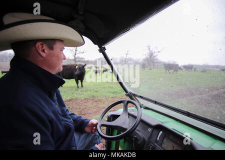 (180508) -- ATLANTIC, 8 maggio 2018 (Xinhua) -- Jay Pellett, figlio di Farmer Bill Pellett, ispeziona bestiame allevato presso la loro fattoria in Atlantico di Iowa, gli Stati Uniti, 2 maggio 2018. Bill Pellett sta ora alimentando intorno a 900 capi di bovini nella sua azienda durante la crescita di centinaia di ettari di mais e soia nel midwestern membro. Un viaggio in Cina nel mese di febbraio ha potenziato la sua fiducia nella vendita di più della sua azienda di bistecca di manzo alla clientela cinese. Durante il suo soggiorno di una settimana in Cina, Pellett si è incontrato con i rappresentanti da sette a dieci diverse aziende che hanno piani per l'importazione di carni bovine americane. Consapevole di f Foto Stock