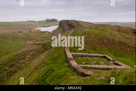 Pecore pascolano tra le rovine di Milecastle 39, una fortezza romana sul vallo di Adriano, l'fronteir dell Impero romano sulle colline del Northumberland, Engla Foto Stock