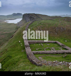 Pecore pascolano tra le rovine di Milecastle 39, una fortezza romana sul vallo di Adriano, l'fronteir dell Impero romano sulle colline del Northumberland, Engla Foto Stock