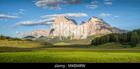 Bella vista della montagna idilliaco paesaggio di montagna con il famoso Sassolungo mountain summit in una giornata di sole in primavera, Alpe di Siusi Alto Adige Foto Stock