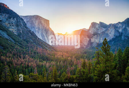 Vista panoramica del famoso Parco Nazionale di Yosemite Valley vista di tunnel in beautiful Golden. La luce del mattino al sorgere del sole in estate, il Parco Nazionale di Yosemite, Mariposa County, Foto Stock
