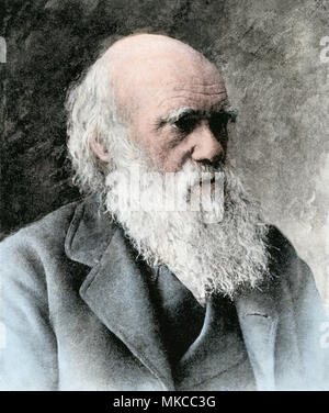 Charles Darwin, circa 1880. Colorate a mano riproduzione dei mezzitoni di una fotografia Foto Stock