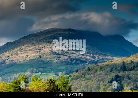 Red ghiaioni, al di sopra di Ambleside, visto da un altro lato di Windermere, vicino Wray Castle, Ambleside, Lake District, Cumbria Foto Stock