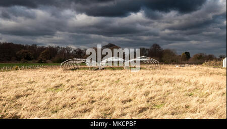 Sole splende su telai polytunnel in una fattoria in Carshalton, parte di Londra la cintura verde. Foto Stock