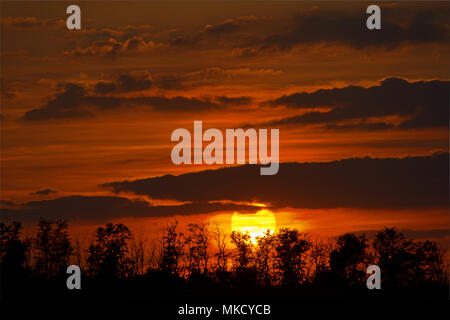 Silouhets di alberi e nuvole enlit dal rosso tramonto, girato nei campi della Russia, vicino alla città di Taganrog, Rostov sul Don, in Russia Foto Stock