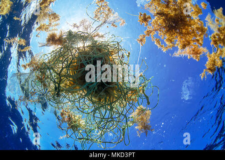 Foto denuncia, garbage in mare, pneumatico sul sommergibile sfondo. Non  importa il luogo se non le conseguenze Foto stock - Alamy