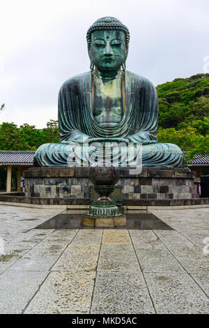 Kamakura, Giappone - Luglio 24, 2013: bella e famosa bronzo gigantesche statue di Buddha Kamakura Daibutsu dove i turisti in visita a disporre di adorare in Kama Foto Stock