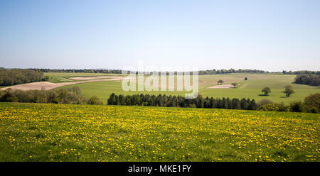 Viste verso l'Ippodromo di Goodwood dal Trundle, un'età del ferro hill fort, sulla South Downs National Park, vicino a Chichester, West Sussex, Regno Unito Foto Stock