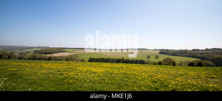 Viste verso l'Ippodromo di Goodwood dal Trundle, un'età del ferro hill fort, sulla South Downs National Park, vicino a Chichester, West Sussex, Regno Unito Foto Stock