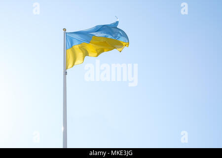 Blu e Giallo bandiera ucraino Foto Stock