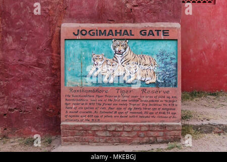 La verniciatura di una tigre famiglia al Jogimahal porta d'ingresso al Parco nazionale di Ranthambore e Ranthambhore Riserva della Tigre, Rajasthan, India settentrionale Foto Stock