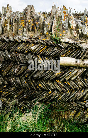 Cornovaglia muro fatto di liste Foto Stock