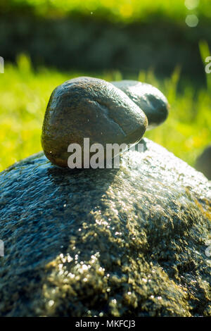 Pietre decorative in giardino Foto Stock