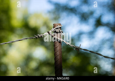 Filo spinato sulla recinzione. Il vecchio filo spinato sulla recinzione di una proprietà importante. Stagione della primavera. Foto Stock