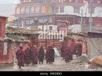 Il Tibetano monache passeggiate nella neve, Yarchen Gar, Sichuan, in Cina Foto Stock