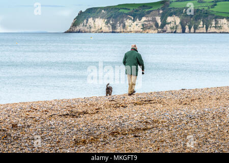 Un uomo solitario con il suo cane passeggiate lungo la riva a Seaton Bay, Devon, Inghilterra, con testa di birra in background. Foto Stock