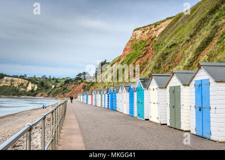 Cabine sulla spiaggia, sul lungomare a Seaton Bay, Devon, Inghilterra, con testa di birra in background. Foto Stock