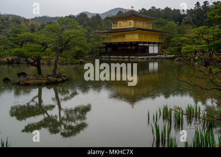 La bellissima Kinkaku-ji, noto anche come il Padiglione Dorato, Kyoto, Giappone Foto Stock