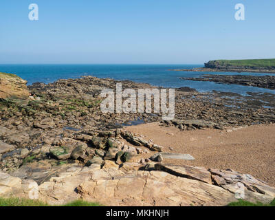 Seaton Sluice, Northumberland - le Rocce di Collywell Bay. Foto Stock