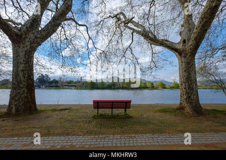 Una panchina nel parco su una riva di un fiume tra due alberi Foto Stock