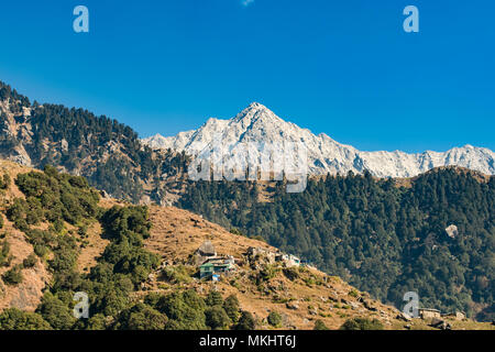 Una vista in lontananza Dhauladhar gamme della montagna durante una giornata di sole. Triund, Dharamshala, Himachal Pradesh. India Foto Stock