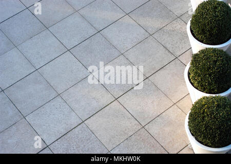 Splendidamente pulito area lastricata terrazza a Londra Foto Stock