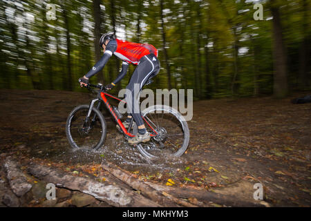 Mountainbiker in dark dusky Vienna Woods scorre veloce offroad su carbonio hardtail lungo il sentiero attraverso la foresta con flusso di spruzzi d'acqua. Foto Stock