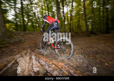 Mountainbiker in dark dusky Vienna Woods scorre veloce offroad su carbonio hardtail lungo il sentiero attraverso la foresta con flusso di spruzzi d'acqua. Foto Stock