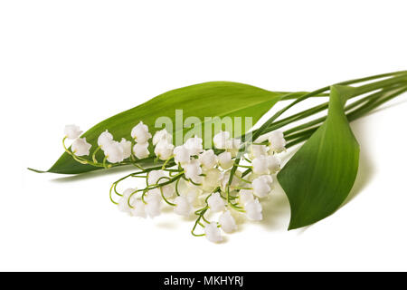 Il giglio della valle mazzetto isolato su bianco Foto Stock