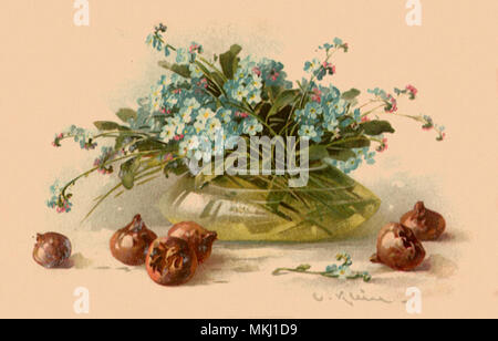 Forget-Me poveri e Medlars Foto Stock