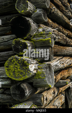 Rifugio alpino, capanna in intorno al progetto di tacca, Almhütte in Rundcurbenbauweise, Almhütte Foto Stock