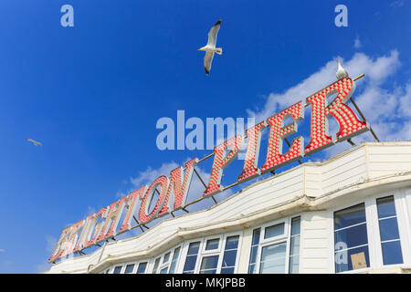 Brighton, East Sussex, 8 maggio 2018. Cerchio Sesagulls iconici illuminato Brighton Pier segno. Un altro meravigliosamente soleggiato e caldo pomeriggio nella cittadina balneare di Brighton in East Sussex potrebbe essere stata l'ultima per un po' di tempo come il tempo meteo per ruotare lo scambiatore di calore e cloudier nei prossimi giorni. Credito: Imageplotter News e sport/Alamy Live News Foto Stock