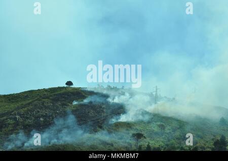 Incendio su una collina, vegetazione in fumo, macchia mediterranea Foto Stock