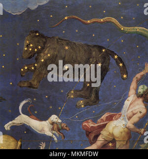 Orsa maggiore Foto Stock