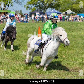 Netley Marsh, Hampshire, Regno Unito. Il 6 maggio 2018. Il primo giorno, dei due giorni di manifestazione, Hampshire Game & Country Fair attrae folle su una calda giornata di sole. Foto Stock