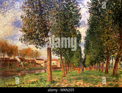 Poplar Avenue a Moret: giorno nuvoloso, mattina Foto Stock