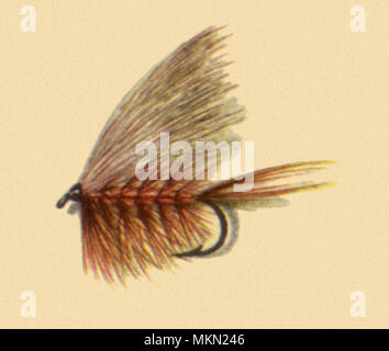Bucktail Caddis Fly Foto Stock