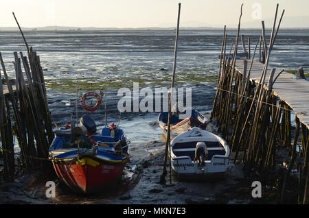 La Bassa marea a palaphitic la pesca artigianale porto di Carrasqueira, fiume Sado estuary, Portogallo Foto Stock