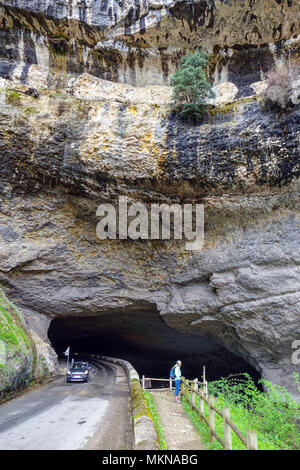 Fiume che scorre attraverso l'entrata sud della grotta preistorica Mas-d'Azil, Midi-Pirenei, Pirenei, Francia Foto Stock